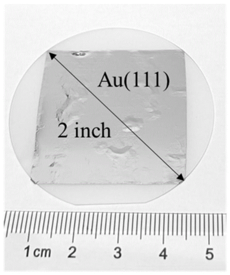 一种Au(111)单晶的制备方法