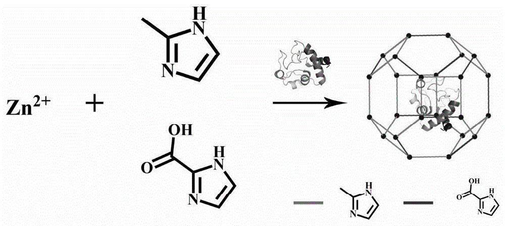 一种非均相功能化催化剂Cyt.C@ZIF-8及其制备方法和应用