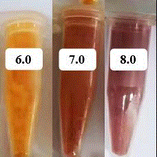 一种基于pH偏移负载姜黄素的纳米颗粒及其制备方法