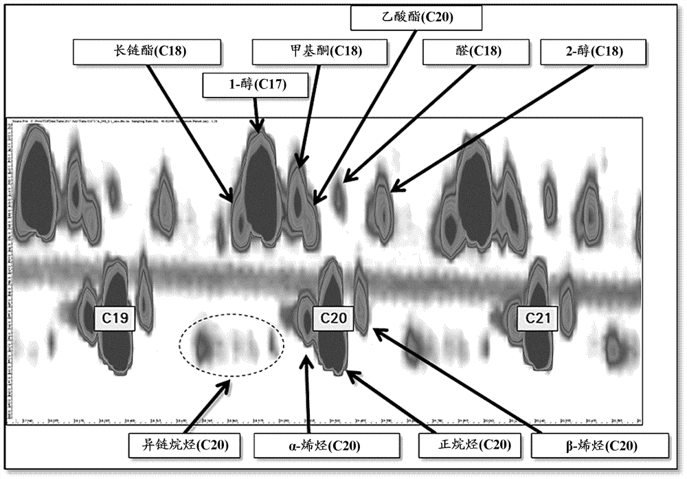 费-托方法、负载型费-托合成催化剂及其用途