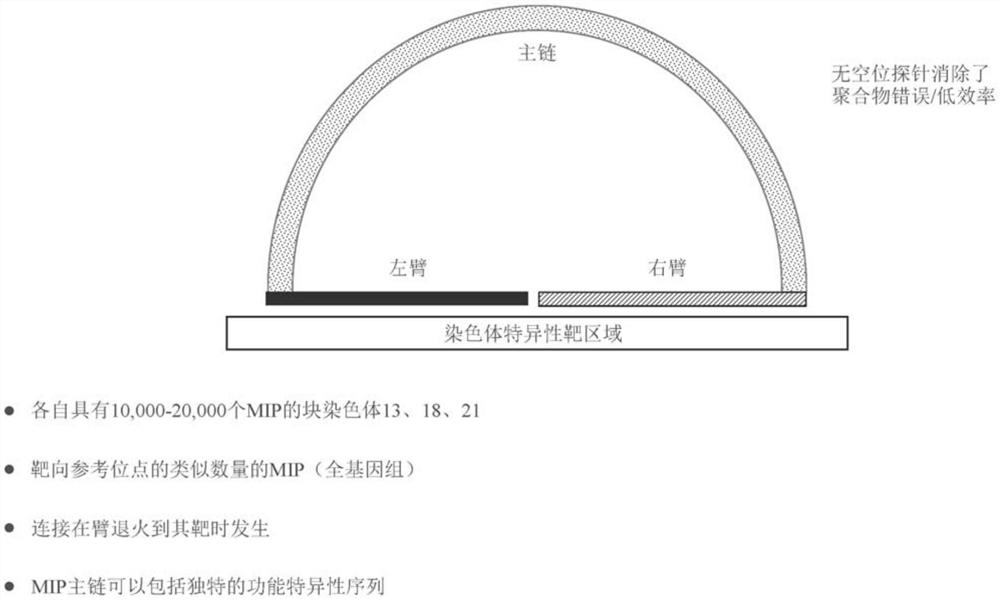 用于对核酸分子进行计数的方法、系统和组合物