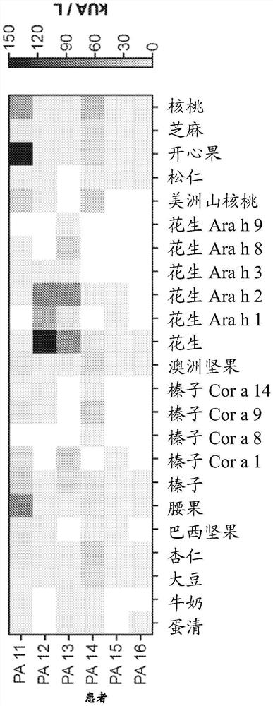 从人中分离过敏原特异性抗体的方法及其用途