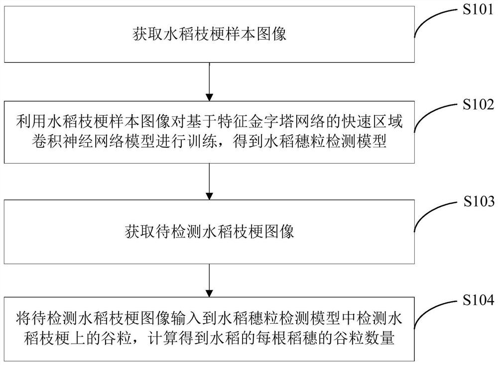 水稻穗粒快速检测方法、装置、计算机设备及存储介质