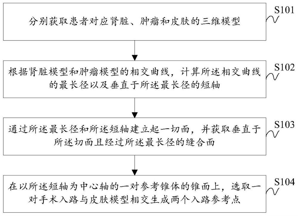 辅助肾脏手术入路的模拟方法及系统