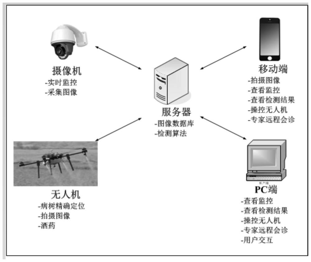 基于多尺度深度神经网络的黄龙病自动诊疗系统及方法