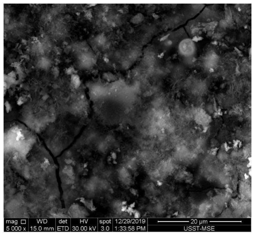 一种纯钛表面电化学沉积制备含铜抗菌涂层的方法