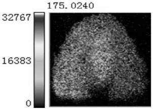 一种用于草莓组织中维生素C的质谱成像方法