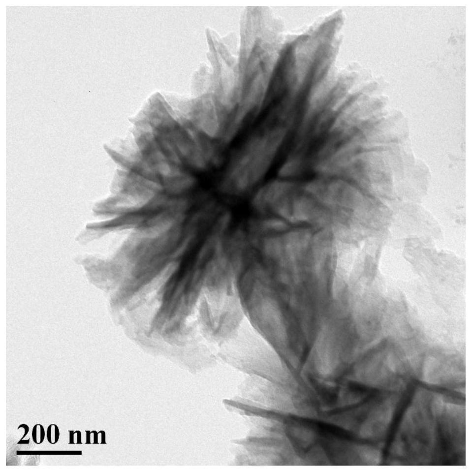 一种花瓣状三维纳米碳材料及其制备方法