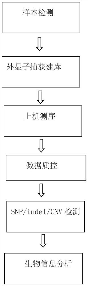 自闭症基因检测方法与应用