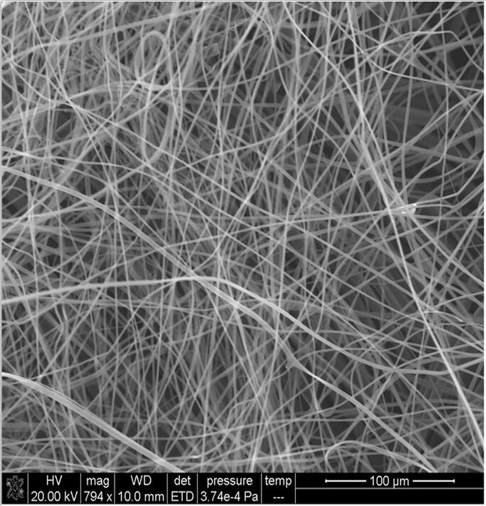 一种乙烯-乙酸乙烯酯/碳复合纳米纤维的制备方法与应用