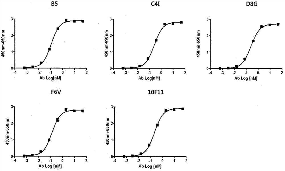 抗B7-H3抗体及其用途