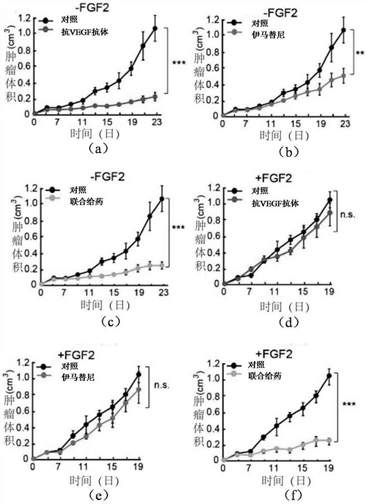 抗VEGF抗体和PDGF/PDGFR抑制剂在制备治疗表达FGF2肿瘤的药物的应用