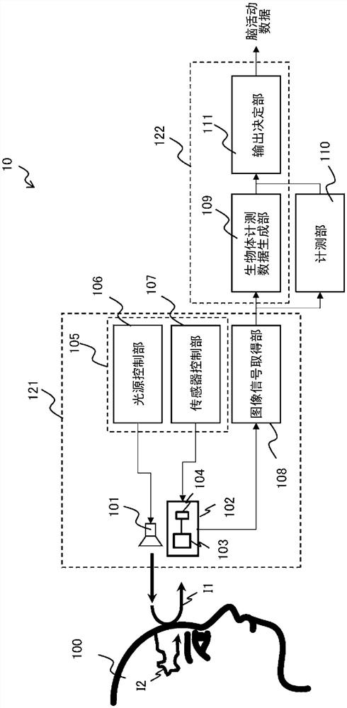 生物体计测装置及生物体计测方法