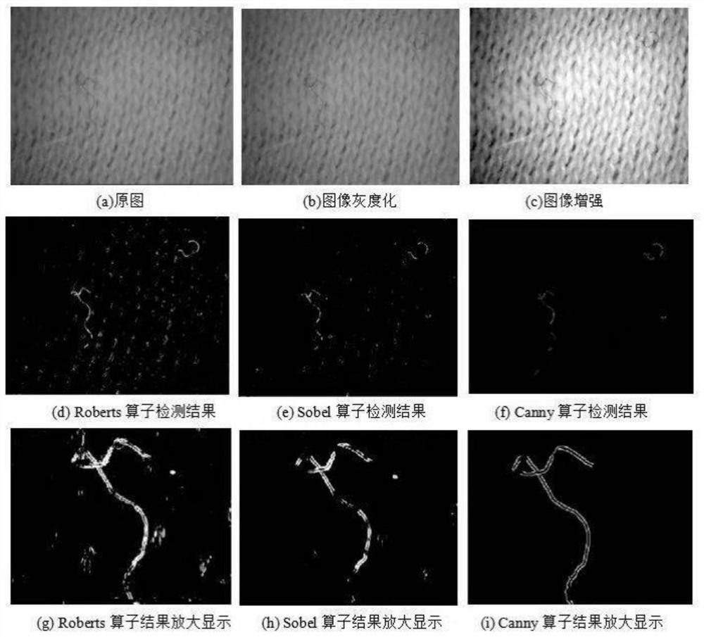 基于图像处理的织物有色纤维检测系统
