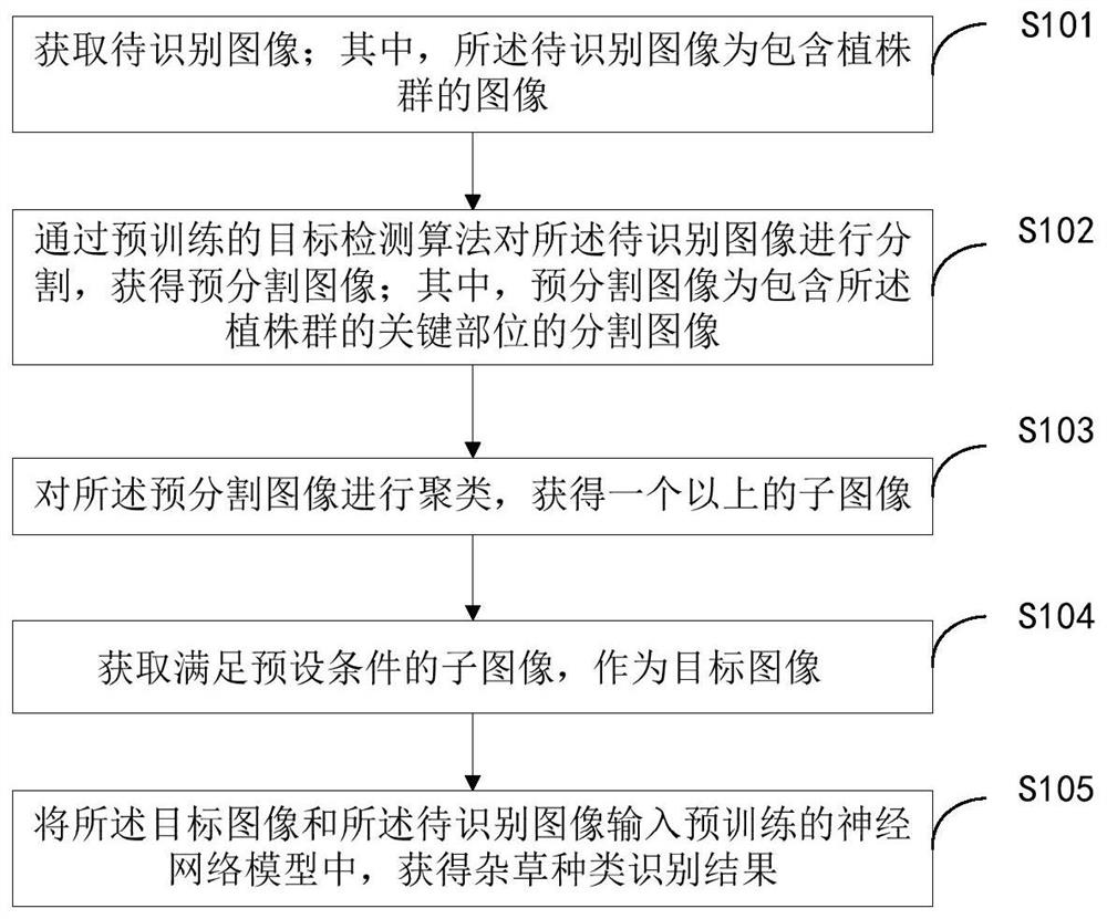 一种杂草识别方法、装置、终端设备及可读存储介质