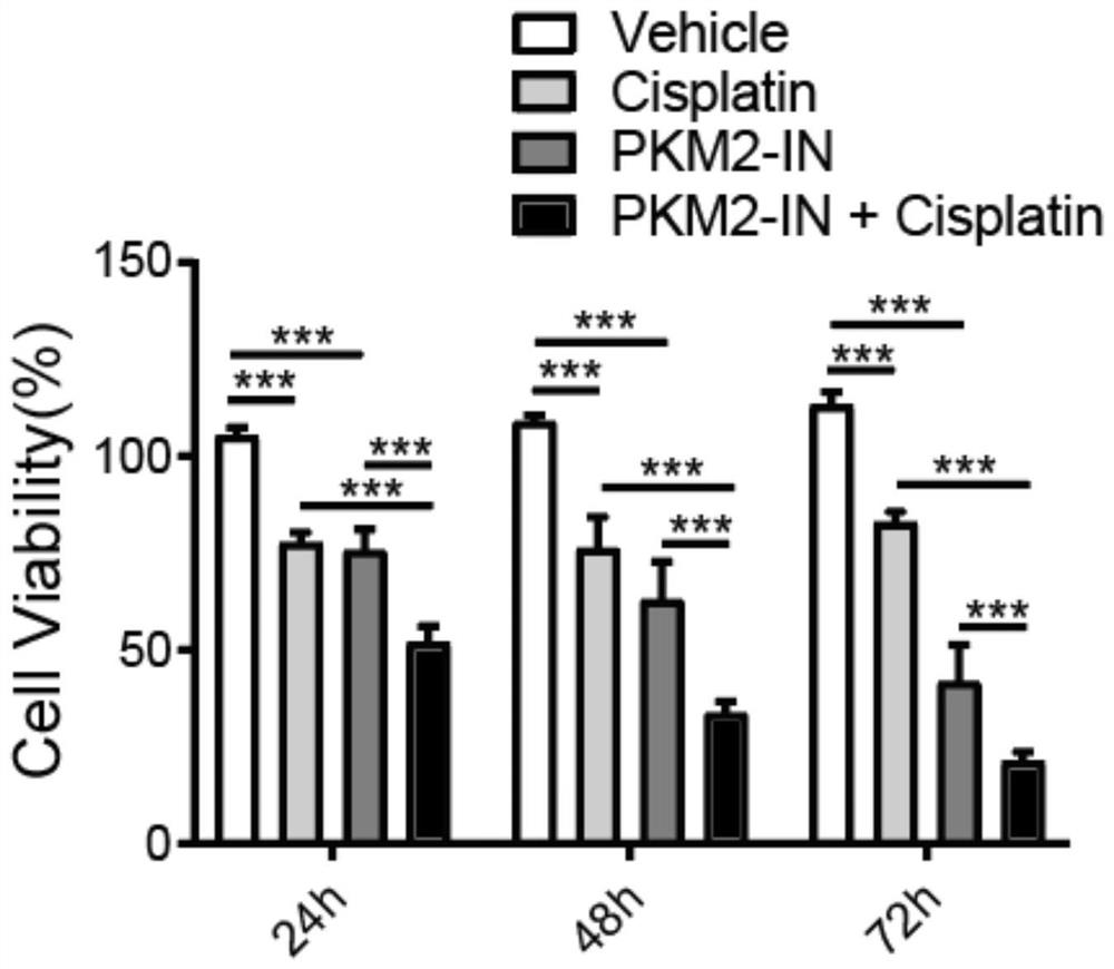 靶向外泌体PKM2改善非小细胞肺癌顺铂耐药性的应用
