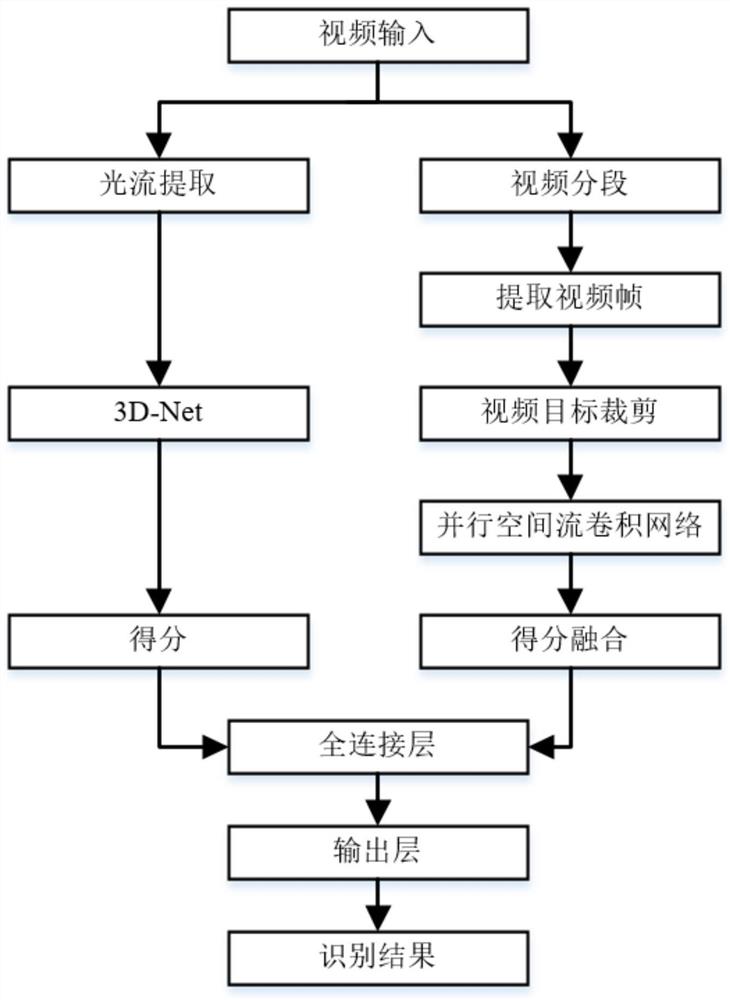 一种基于3D时间流和并行空间流的双流卷积行为识别方法