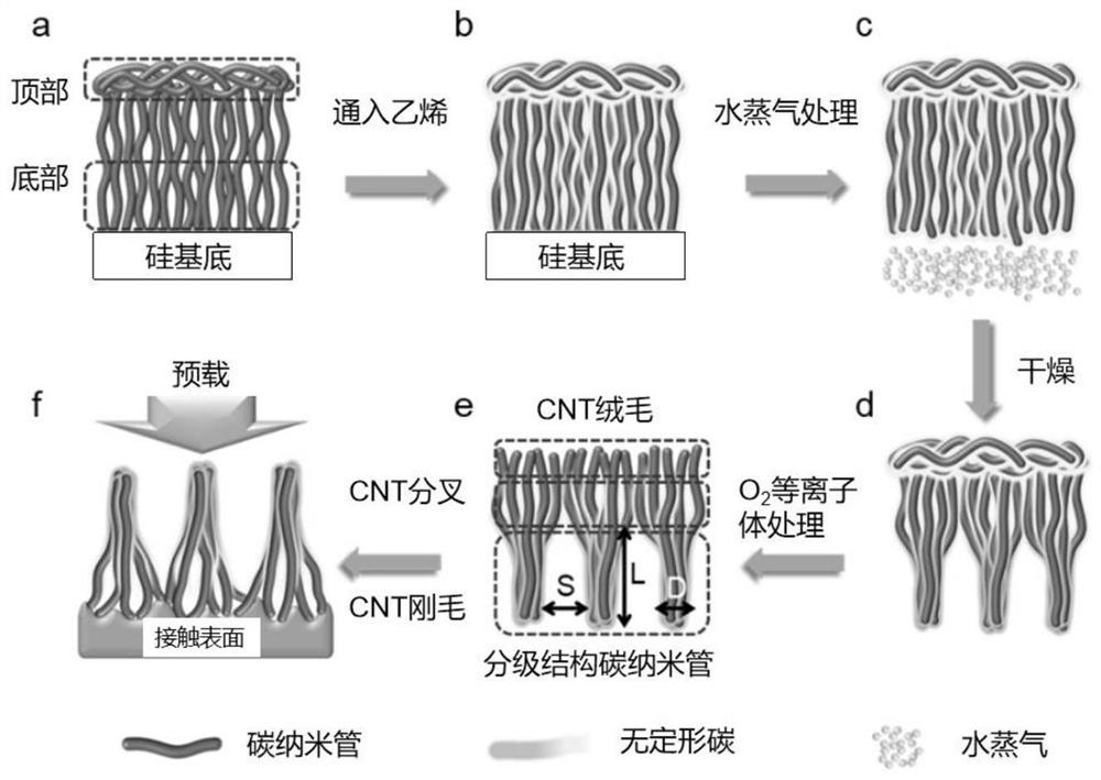 一种分级结构碳纳米管干胶及制备与作为粘接剂的应用
