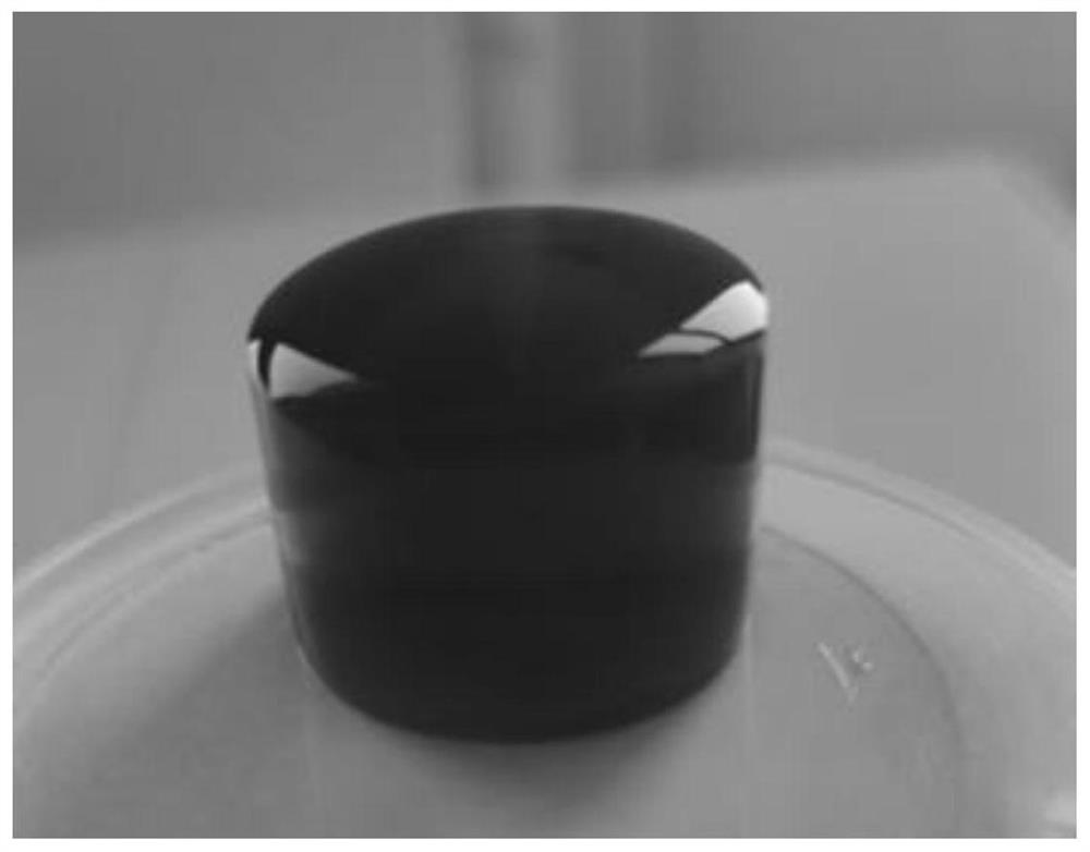一种碳量子点改性纳米纤维素荧光水凝胶的制备方法