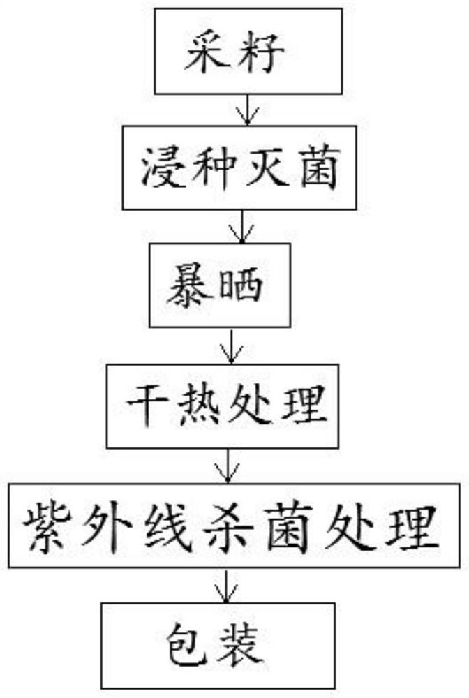 一种哈密瓜的种子浸泡灭菌方法