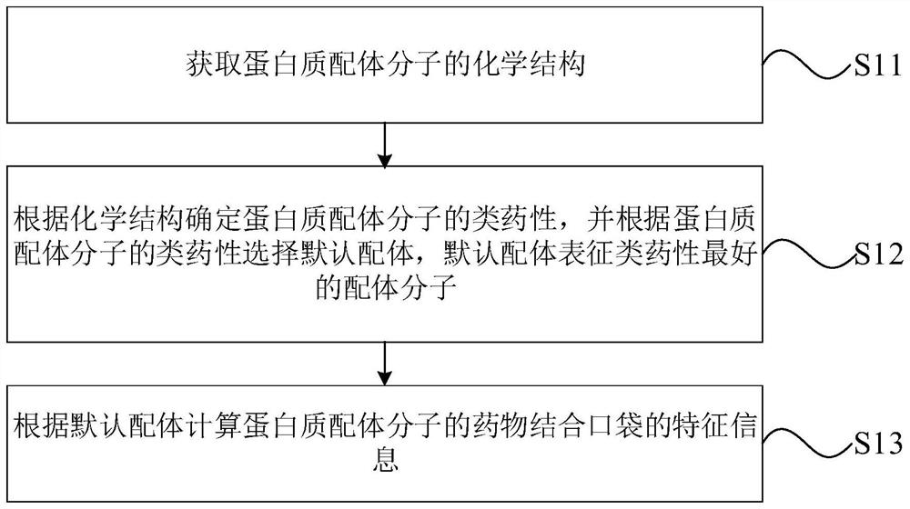 一种蛋白质特征提取方法、装置及计算机设备