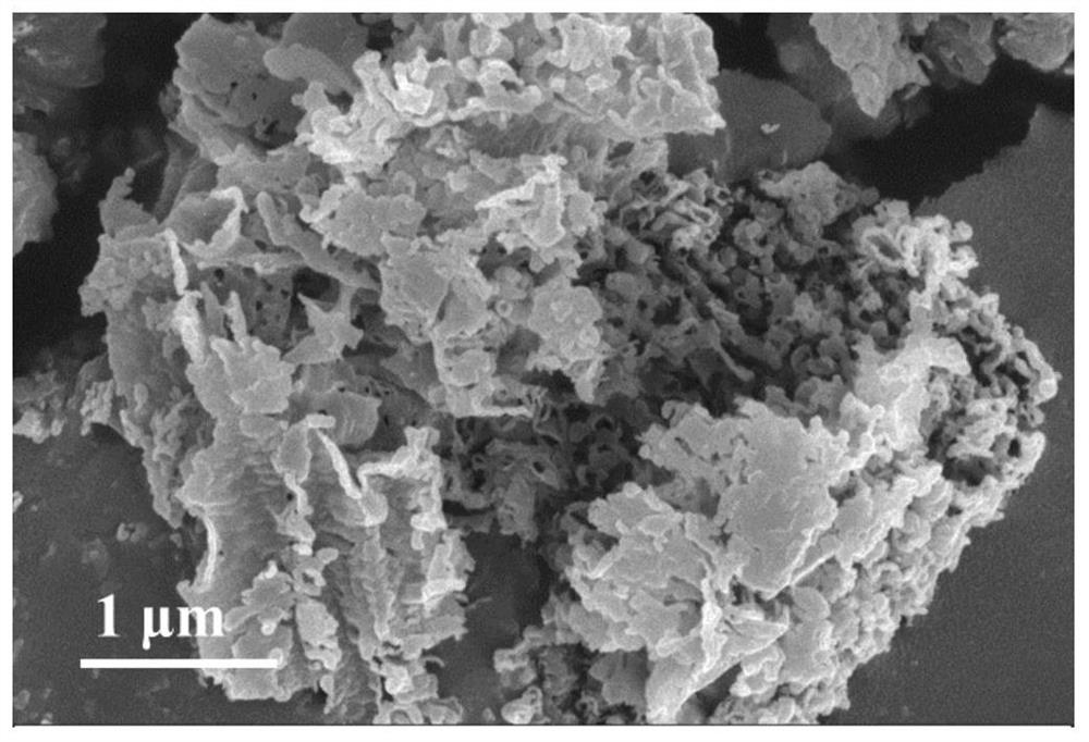 一种碱式钾盐改性石墨相氮化碳在制备阳离子型染料吸附剂
中的应用