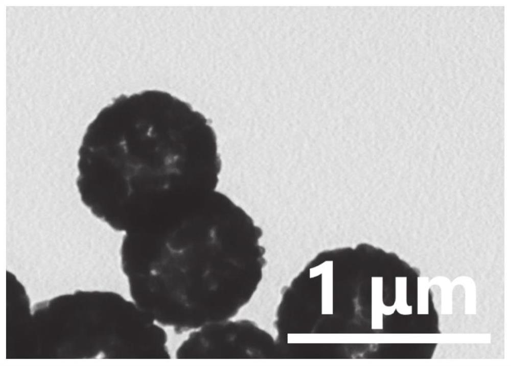 碳包覆磁性四氧化三铁空心球材料及其制备方法与应用