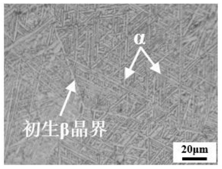 一种Ti-Al-Nb-Zr-Mo耐腐蚀钛合金及其制备方法