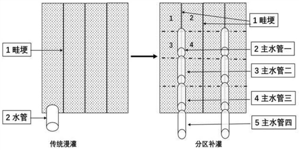 一种小麦双宽分区补灌高产节水种植方法