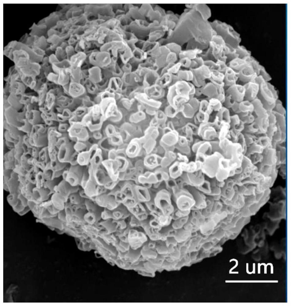 一种制备珊瑚结构多孔硼酸的方法