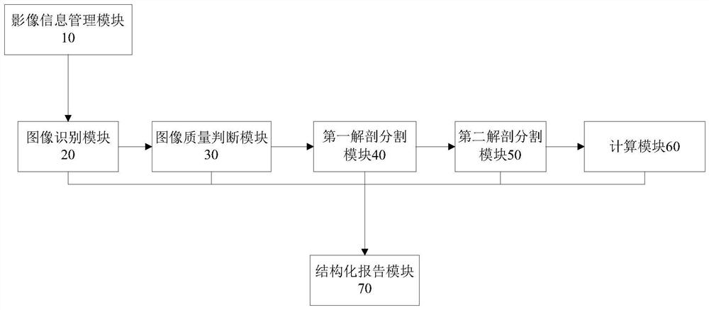 用MR技术对全身脂肪进行自动化定量评价系统及方法