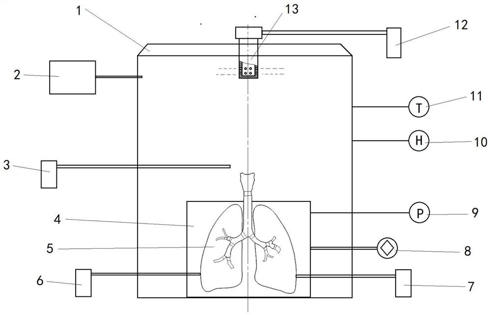 一种模拟生物气溶胶沉积的肺实验模型系统
