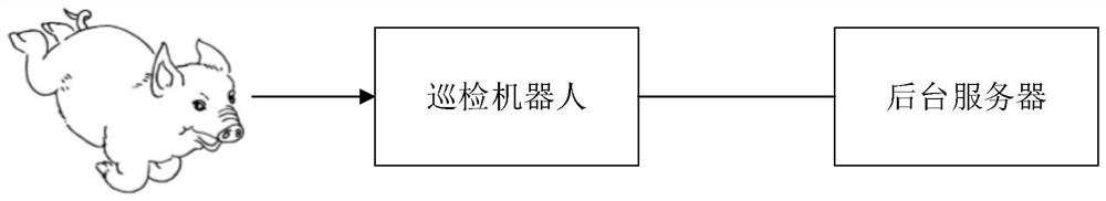 基于5G的牲畜健康监测系统和方法