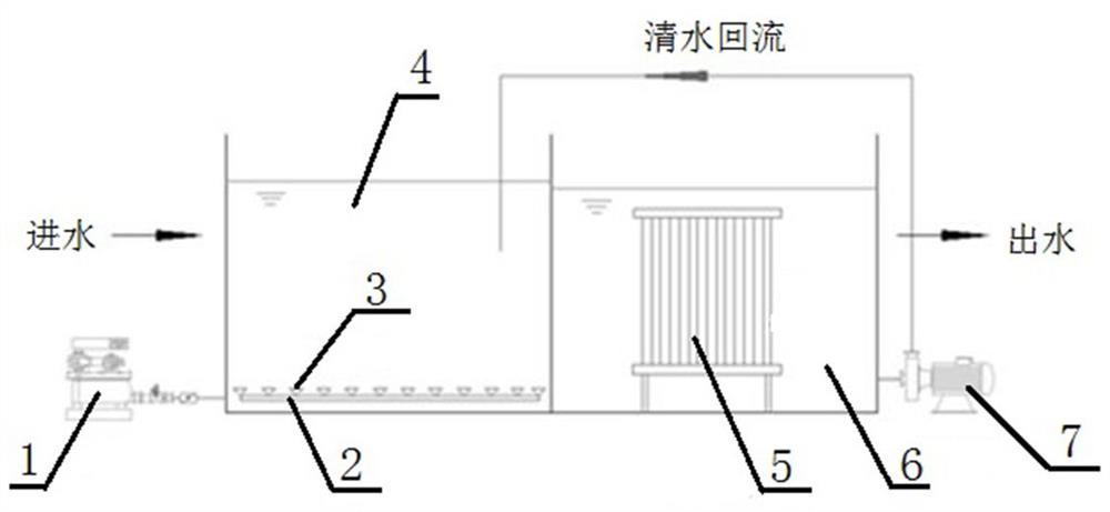 一种污水净化系统及净化方法