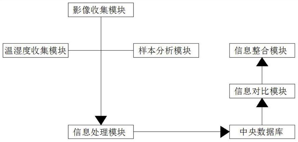 基于多层次分类模型的长江中游沿岸林地信息提取系统