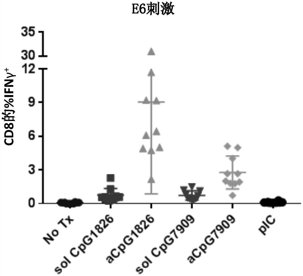 CPG两亲分子及其用途