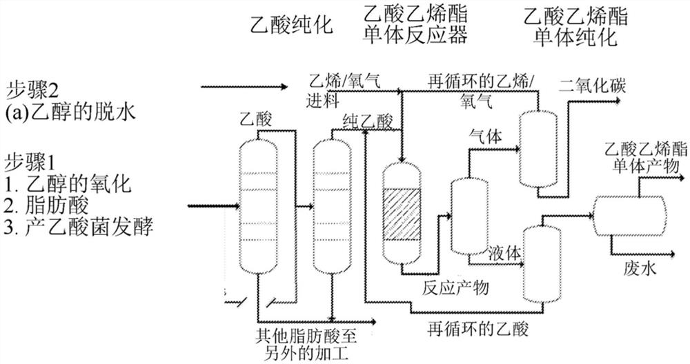 生物基EVA组合物及其制品和方法