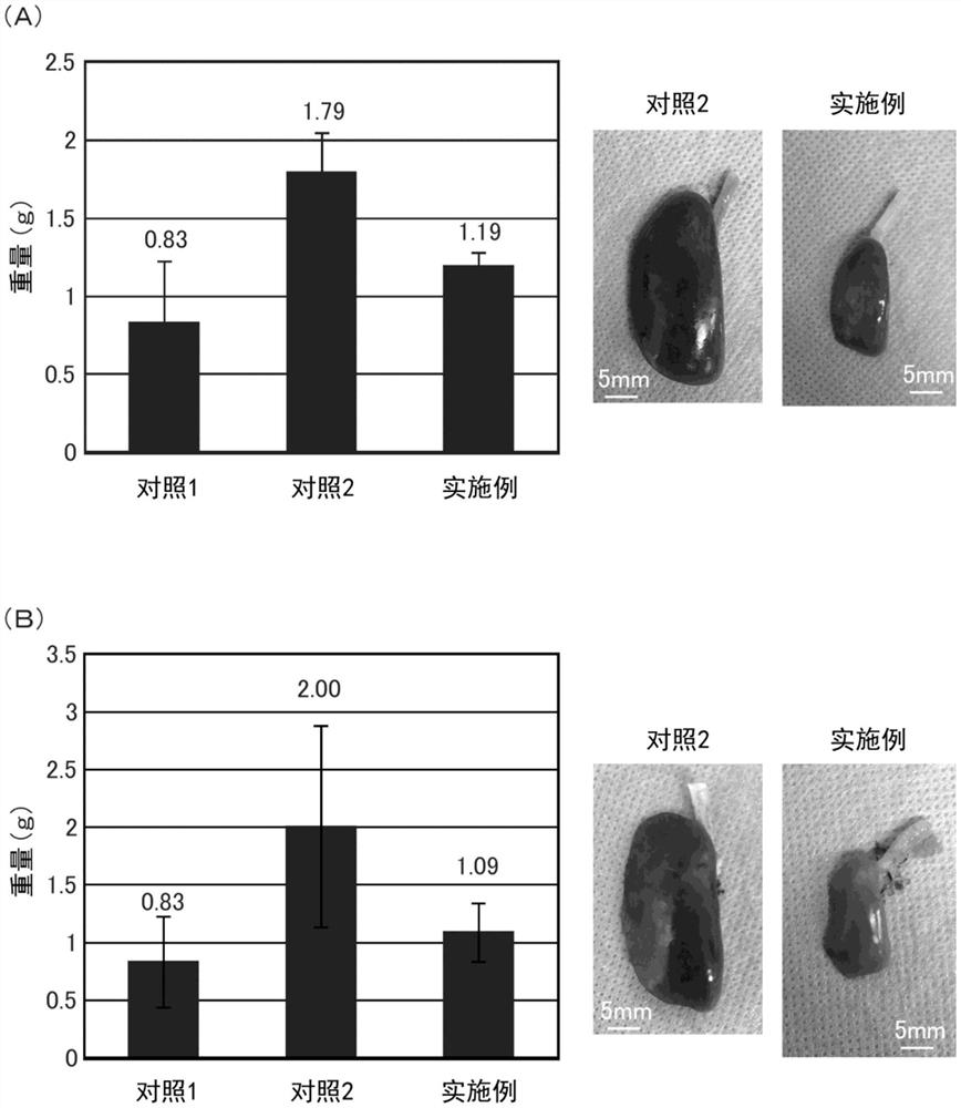 生物材料保存组合物、生物材料的保存方法、生物材料的生产方法、移植材料和移植方法