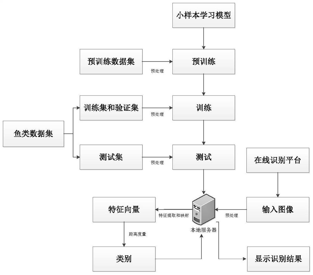 一种基于残差网络和迁移学习的小样本鱼识别方法及系统