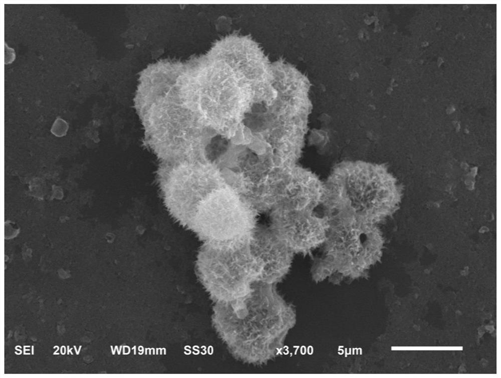 一种花球状硒化钼纳米粒子的制备方法