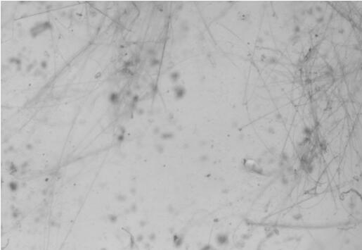 一种处理化工排放废水的复合纤维磁性材料及制备方法