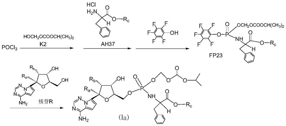 核苷酸氨基磷酸酯化合物、其药物组合物及其制备方法和
应用