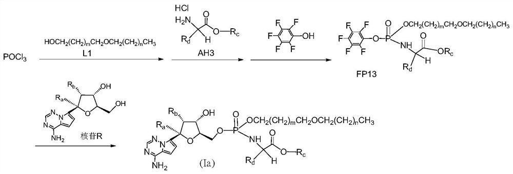 核苷酸长链氨基磷酸酯化合物、其药物组合物及其制备方法
和应用