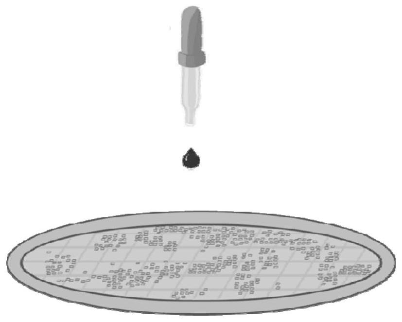 钙钛矿CsPbBr3胶体量子点的颗粒融合方法及应用