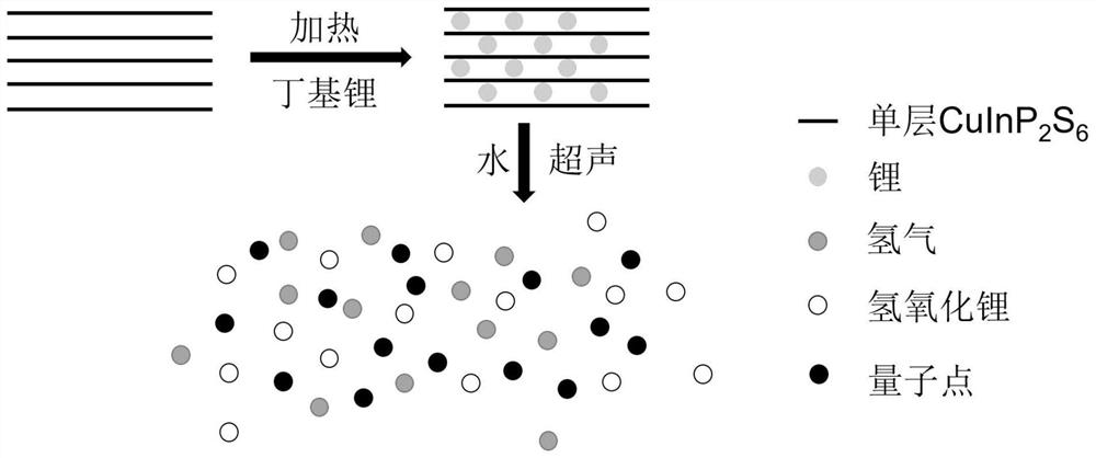 高产率CuInP2S6量子点的制备