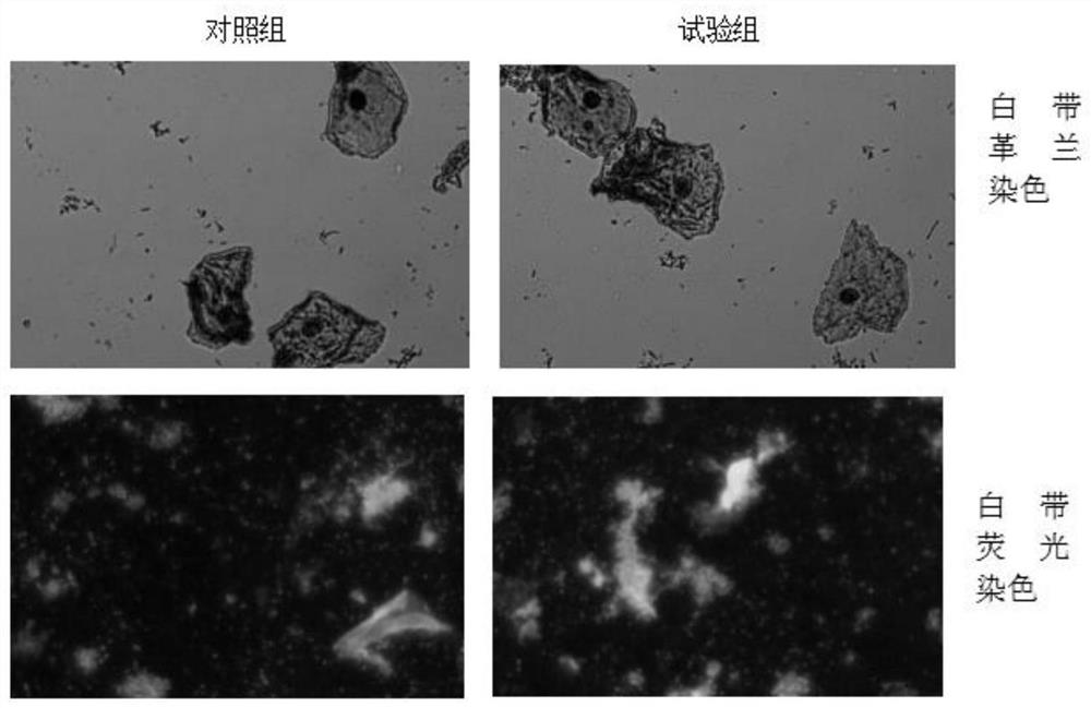 生物样本安全防护剂及其应用