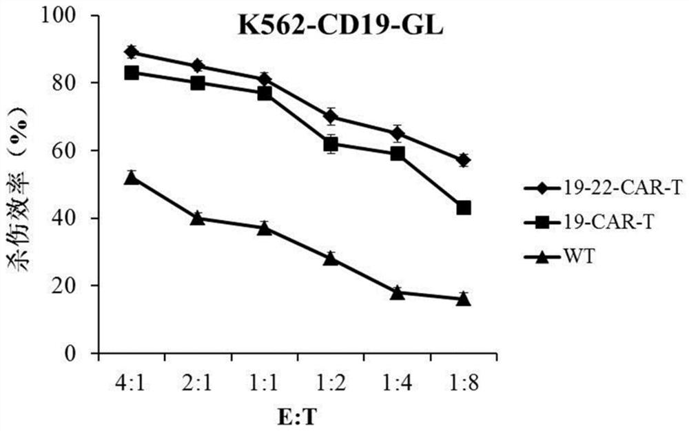 CD19和CD22双靶点嵌合抗原受体T细胞及其应用