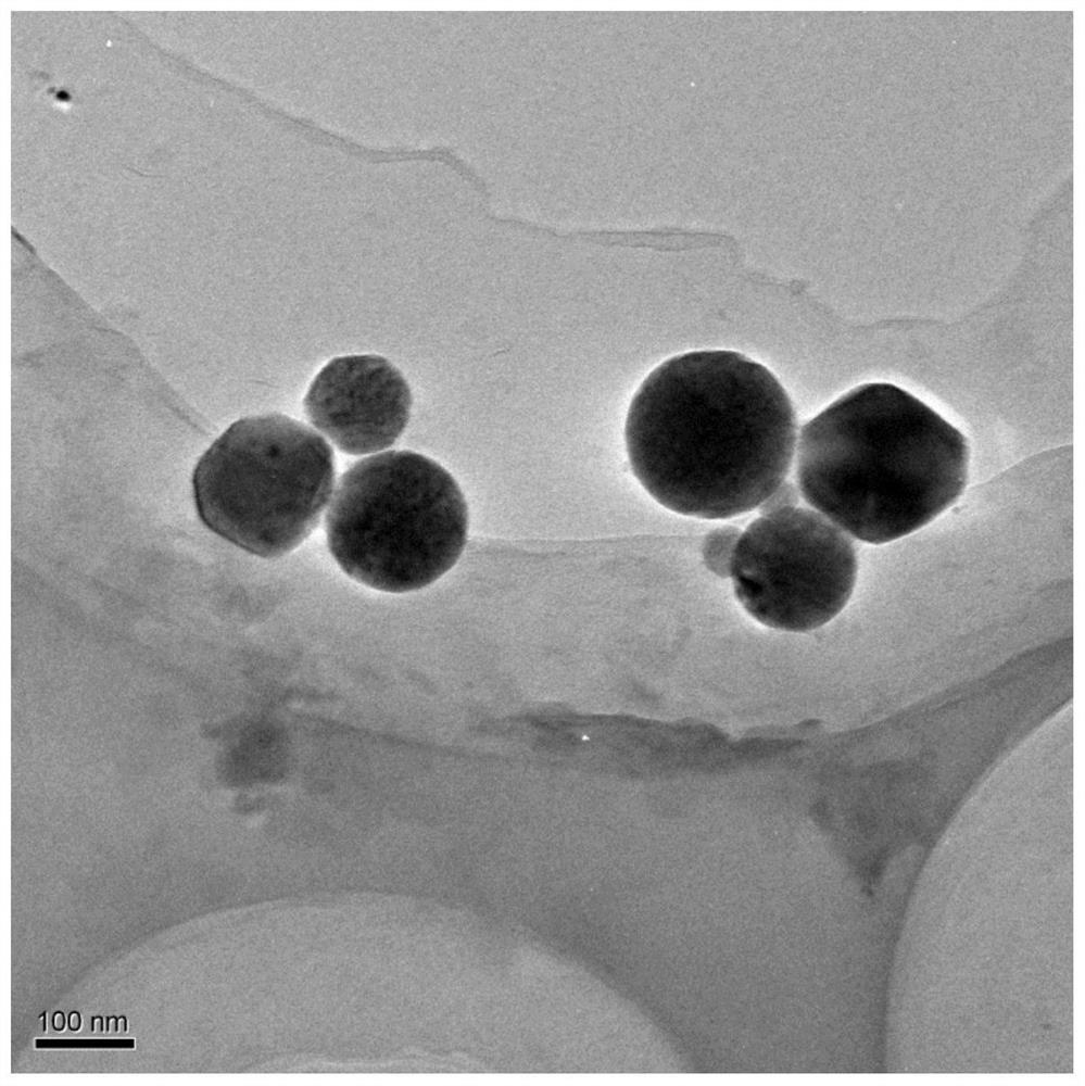 一种铕掺杂β-磷酸三钙荧光纳米颗粒及其制备方法和应用