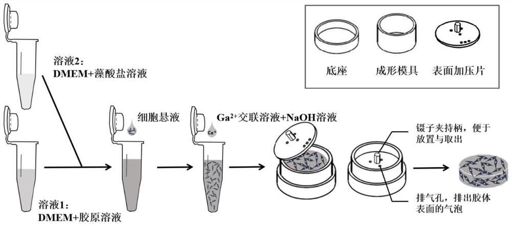 一种适用于细胞三维培养的水凝胶及其制备方法