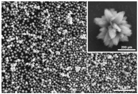 一种二氧化钛和普鲁士蓝有序组装态介晶纳米材料及其制备
方法